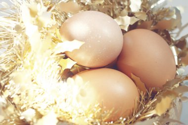 Paskalya yumurta Festivali.