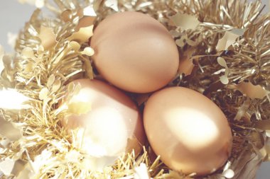 Paskalya yumurta Festivali.