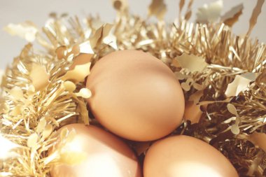 Paskalya yumurta Festivali.