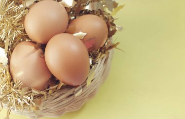 Paskalya yumurta Festivali.