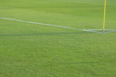 Beyaz lekeli, yeşil çimen desenli boş futbol sahası.