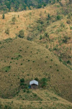 Ormansızlaşma kavramı yıkılmış kulübeler ve ormanlardan oluşur..