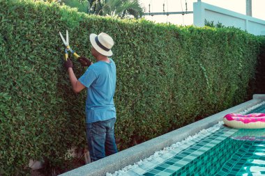 Bir adam evin bahçesinde dalları buduyor..