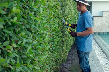 Bir adam evin bahçesinde dalları buduyor..