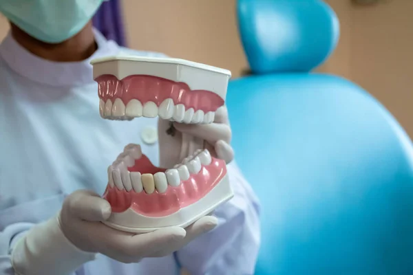 Tandvård Tandläkare Använder Den För Att Kommunicera Med Patienter — Stockfoto