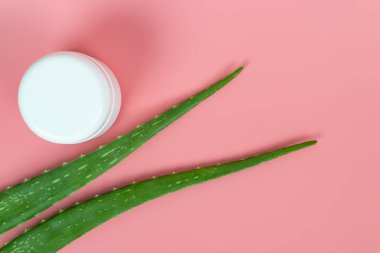 Taze aloe vera yaprakları ve beyaz plastik kozmetik kavanozu Sağlık ve Güzellik Ürünleri için pastel pembe arka planda.