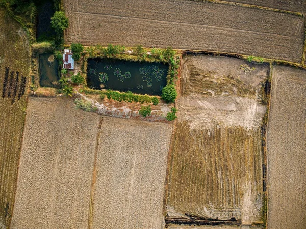 Flygbild Stor Jordbruksmark Förberedelse För Att Odla Ris Drone Fotografi — Stockfoto