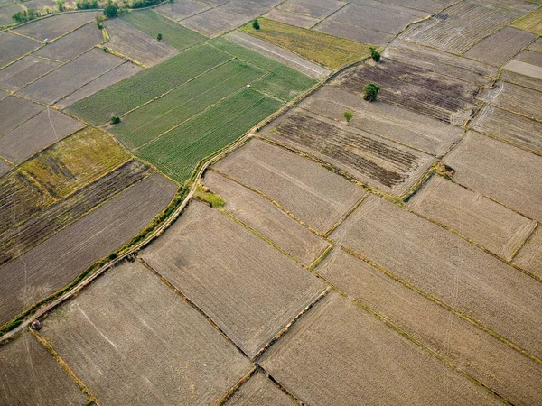 Luftbild Eines Großen Landwirtschaftlichen Grundstücks Vorbereitungen Für Den Reisanbau Drohnenfotografie — Stockfoto