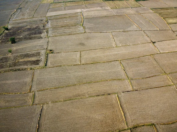 Letecký Snímek Velkého Zemědělského Pozemku Příprava Pěstování Rýže Fotografie Dronů — Stock fotografie