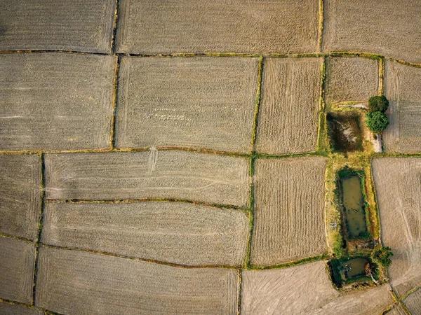 Imagem Aérea Uma Grande Parcela Agrícola Preparando Para Cultivar Arroz — Fotografia de Stock