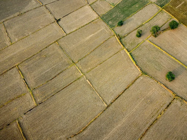 Letecký Snímek Velkého Zemědělského Pozemku Příprava Pěstování Rýže Fotografie Dronů — Stock fotografie