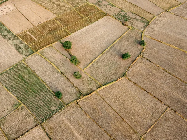 Pirinç Yetiştirmeye Hazırlanan Büyük Bir Tarımsal Arazinin Havadan Çekilmiş Fotoğrafı — Stok fotoğraf