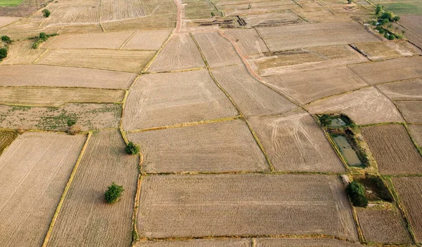 Légi Kép Egy Nagy Mezőgazdasági Telek Felkészülés Rizs Termesztésére Drone — Stock Fotó