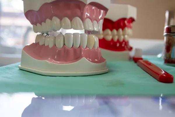 Tandvård Tandläkare Använder Den För Att Kommunicera Med Patienter — Stockfoto