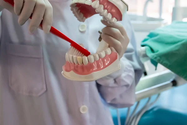 Dentures Dental Clinics Dentists Use Communicate Patients — Stock Photo, Image