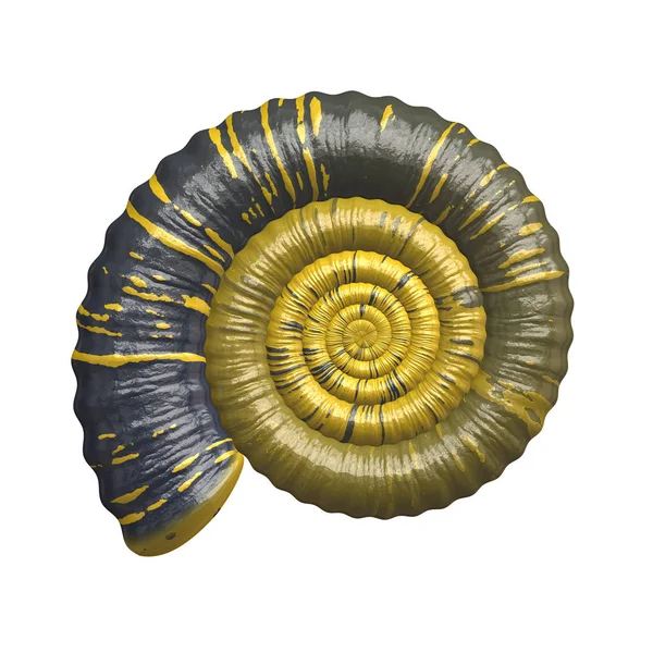 Gul grön Ammonit spiral — Stockfoto