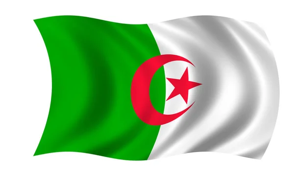 Acenando bandeira algeriana no vento — Fotografia de Stock