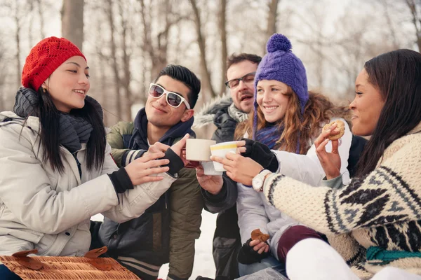 Groep vrienden genieten in de sneeuw in de winter — Stockfoto