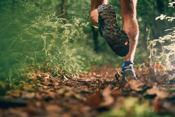 Uygun bir erkek koşucu çapraz ülke orman iz yarış doğa Park için eğitim kas buzağı. — Stok fotoğraf