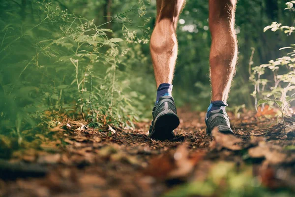 Muscular calves of a fit male jogger training for cross country forest trail race in nature park. — Stock Photo, Image