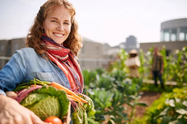 Friendly woman harvesting fresh vegetables from the rooftop greenhouse garden — Stock Photo, Image