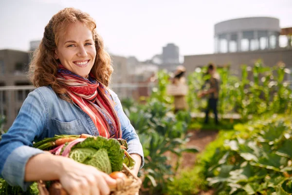 Femme amicale récoltant des légumes frais dans le jardin de serre sur le toit — Photo