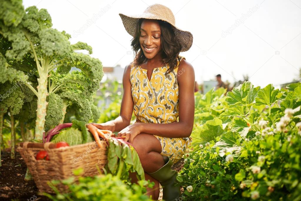 Friendly african american woman harvesting fresh vegetables from the rooftop greenhouse garden