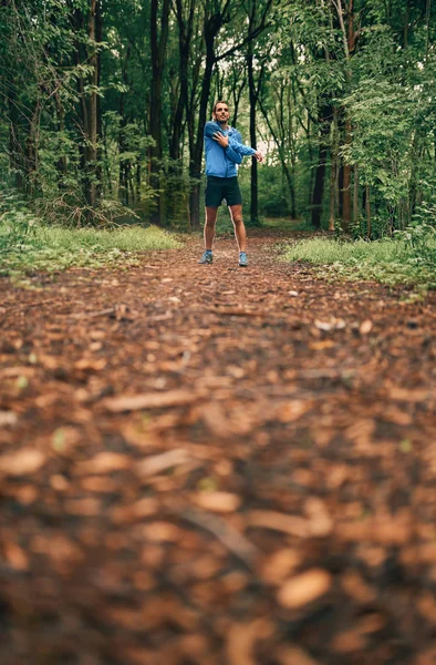 El jogger masculino adecuado se extiende durante el entrenamiento diurno para la carrera de senderos forestales de fondo en un parque natural . — Foto de Stock