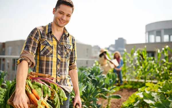 Équipe amicale récoltant des légumes frais dans le jardin en serre sur le toit et planifiant la saison de récolte — Photo