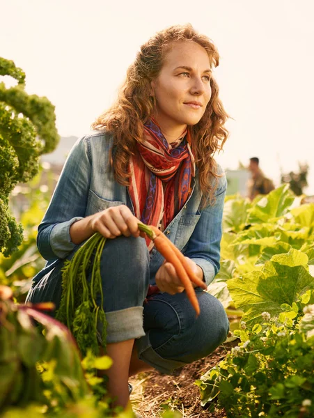 Femme amicale récoltant des légumes frais dans le jardin de serre sur le toit — Photo