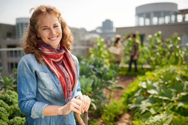 Friendly woman harvesting fresh vegetables from the rooftop gree — Stock Photo, Image