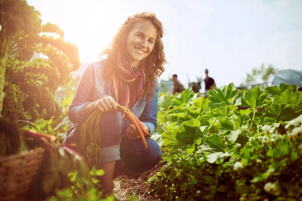 Mujer amable cosechando verduras frescas de la azotea gree — Foto de Stock