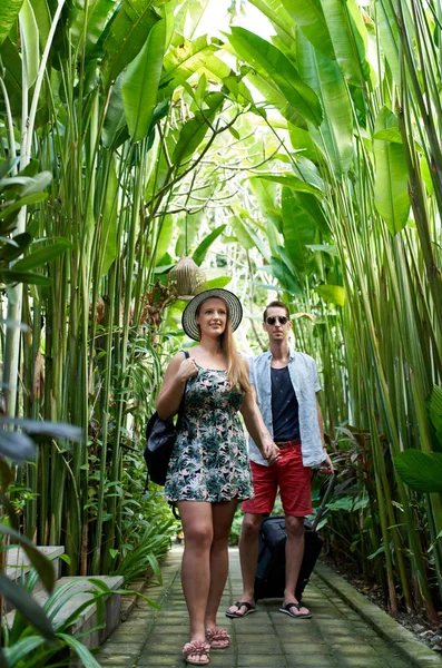 Joven pareja hipster feliz tomados de la mano en passa planta tropical Fotos De Stock