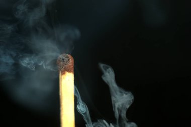 Kükürt kafa yangınının makro atışı