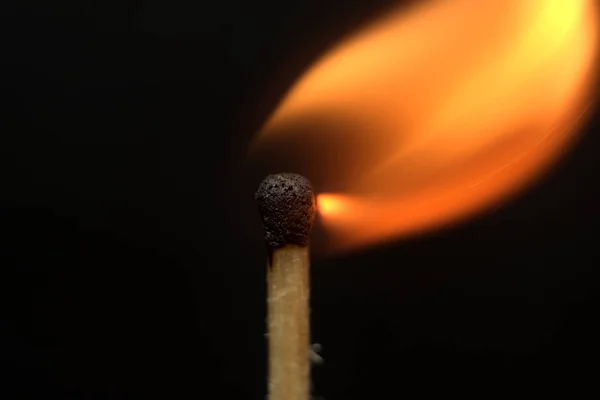 Kükürt kafa yangınının makro atışı