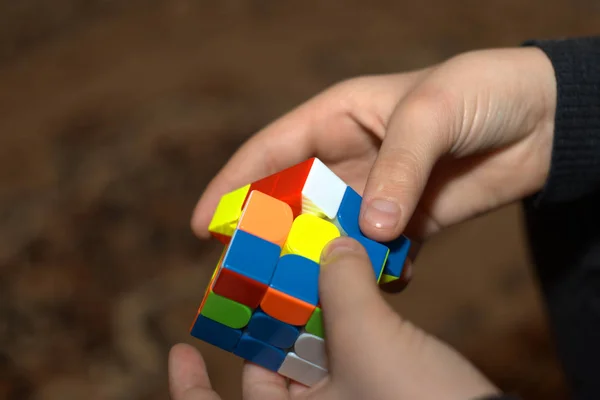 Cubo Rubik Manos Del Maestro Imagen De Stock