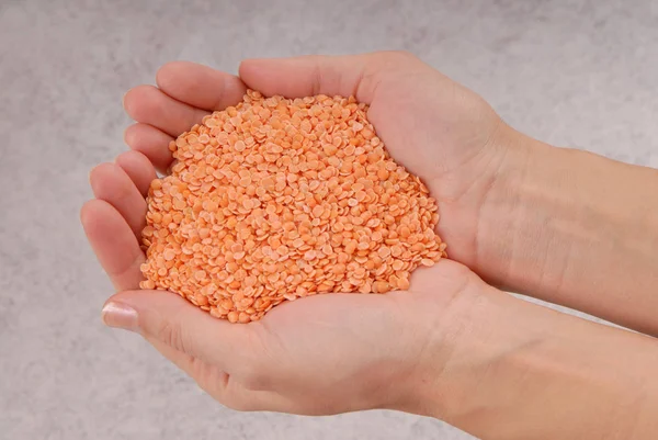 Orange raw lentil, grain is in female hands, handful of cereal, — Stock Photo, Image