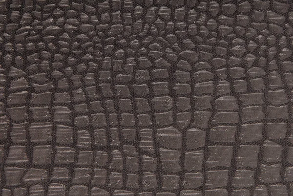 クロコダイルのパターンと黒の布、ファッショナブルな質感表現 — ストック写真