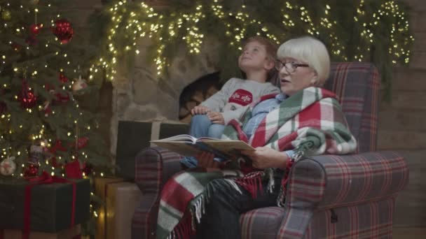 Abuela rubia en manta sentada en sillón junto al árbol de Navidad y leyendo cuentos de hadas a su nieto. Niño escuchando cuento de hadas de Navidad . — Vídeos de Stock