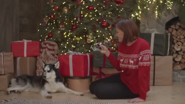 Mladá brunetka žena v červeném svetru fotit Sibiř Husky ležící na podlaze u vánočního stromku na telefonu ve zpomaleném filmu. — Stock video