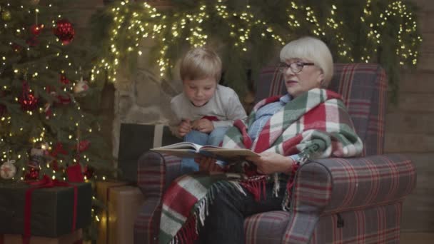 毛布の中で金髪の祖母はクリスマスツリーでアームチェアに座って、孫におとぎ話を読んでいます。クリスマスのおとぎ話を聞く少年. — ストック動画