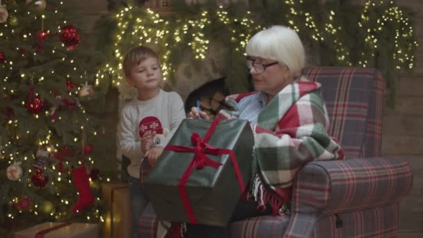 Grand-mère blonde en couverture écrivant des noms sur les cadeaux du Nouvel An avec petit-fils mettant des cadeaux sous l'arbre de Noël. Mamie en donne cinq à son petit-fils . — Video