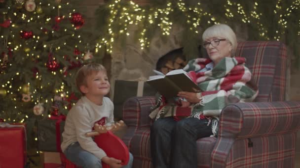 Blonde Großmutter in Decke sitzt im Sessel am Weihnachtsbaum und liest Buch, während der Enkel in Zeitlupe auf einem Holzpferd vor ihr reitet. — Stockvideo