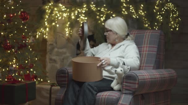 A karosszékben ülő idősebb nők karácsonyi ajándékként puha kiskutyás játékot készítenek. Felnőtt nő tesz játék a jelenlegi dobozban Újévi dekoráció lassított felvételen. — Stock videók