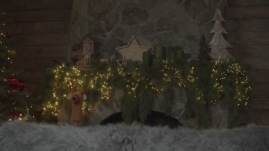 Parlayan ışıklar, mumlar, ağaçlar ve yıldızlarla süslenmiş Noel şöminesi ve içinde ağır çekimde ağaçlar var.. 