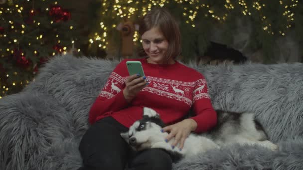 Morena mujer en jersey rojo surfeando en línea en gadget y acariciando Siberian Husky en el sofá en la decoración de Navidad en cámara lenta con luces borrosas detrás . — Vídeo de stock