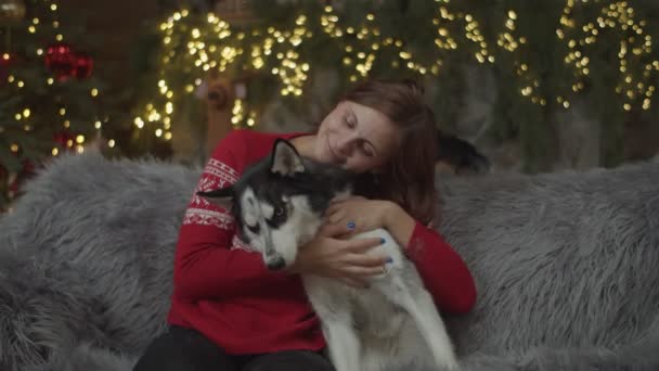 Brunetka kobieta w czerwonym pullover przytula syberyjski Husky na kanapie w dekoracji świątecznej w zwolnionym tempie z rozmytymi światłami za. — Wideo stockowe