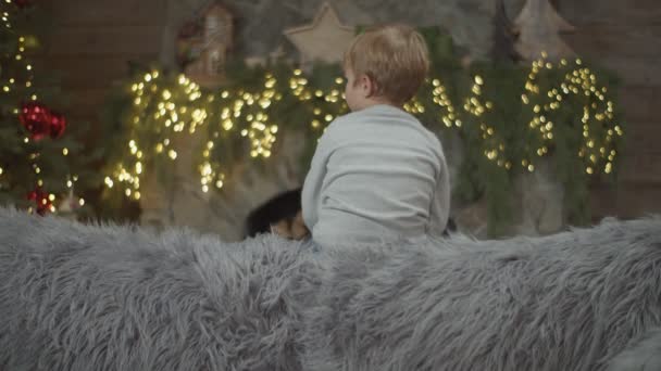 Mały chłopiec bawiący się na szarej sofie w dekoracji świątecznej w zwolnionym tempie. Dzieciak padający na kanapę. — Wideo stockowe