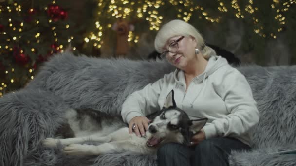 Mujer mayor rubia en jersey blanco acariciando a Husky siberiano en el sofá en la decoración de Navidad en cámara lenta con luces borrosas detrás . — Vídeo de stock