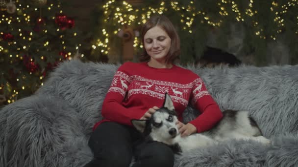 Brünette Frau im roten Pullover streichelt sibirischen Husky auf Sofa in Weihnachtsdekoration in Zeitlupe mit verschwommenem Licht dahinter. — Stockvideo